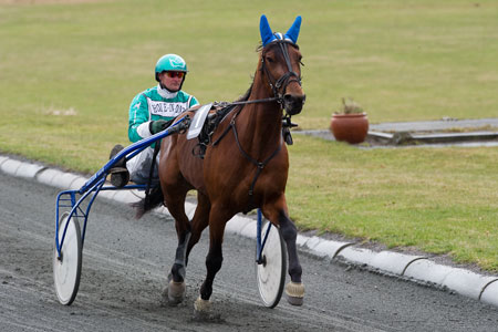 Gratis sponsorl�b til bornholmer i hovedstaden