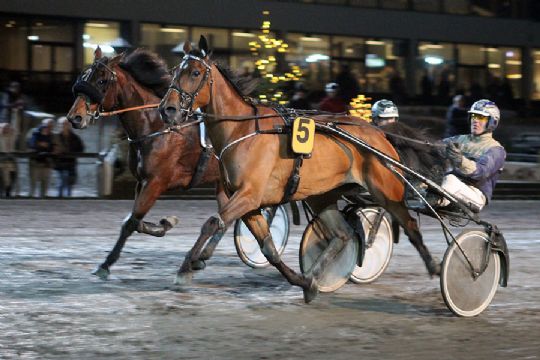 Bornholmer n�ede over dr�mmegr�nsen