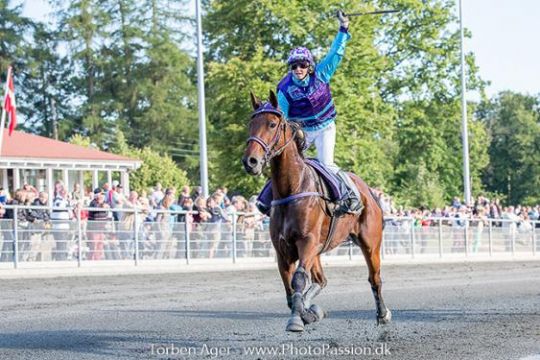 Bornholms bedste montehest forlader �en