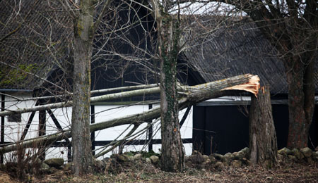 DMI varsler om vindst�d af stormstyrke