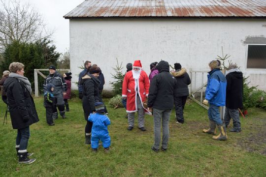 Bankkunder valgte juletr�er