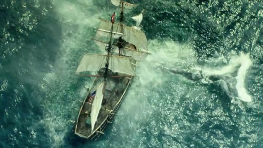 H�vnlysten hval i R�nne Bio