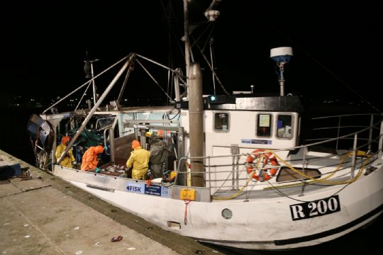 1.600 kg fisk kasseret efter gas