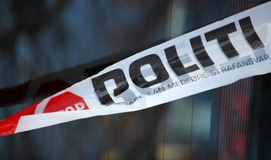 Kvinde i glatf�reuheld