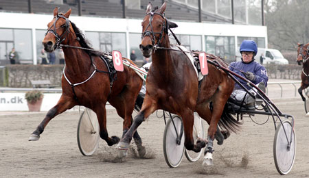 Flot andenplads til O�malley�s T�s