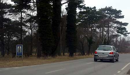 Gudstjeneste p� Gall�kken