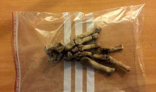 Makabert fund ved Gall�kken