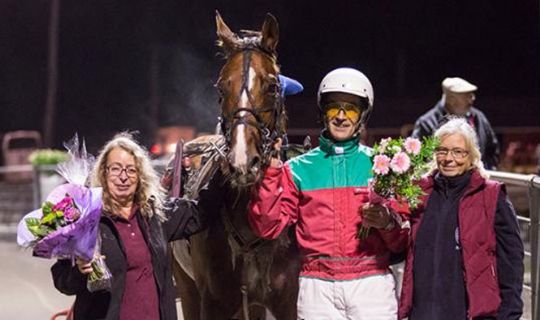 Top f�lhoppe k�bt til Bornholm