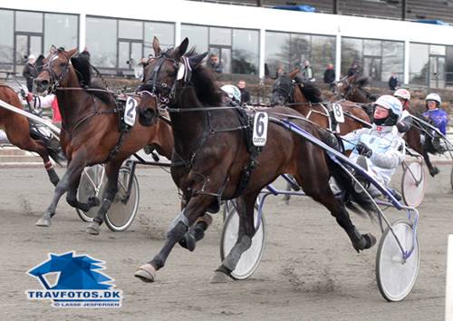 Svensk travl�rling g�ster Bornholm