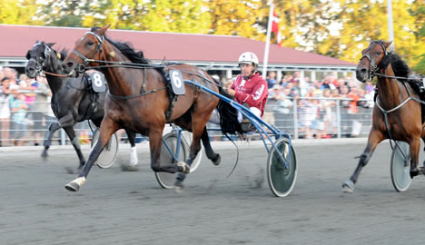 Travsportens jernlady tager en s�son mere