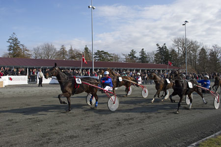 Endnu flere skal p� travbanen