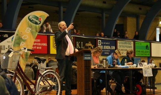 Stor k�belyst p� auktion