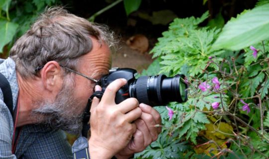 Blomster i Bornholms natur