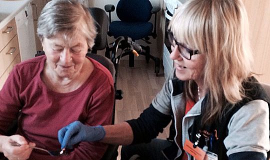 Privat �ldrepleje i v�kst