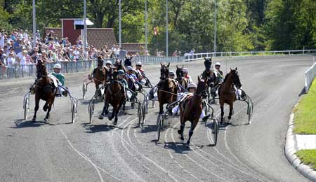 Bornholmsk k�mpe har sluttet karrieren