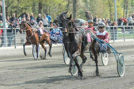 Silver Game den brave