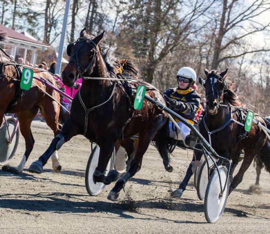 Brikkerne faldet p� plads