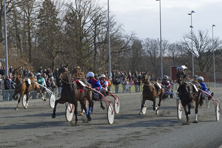 Sejrshest klar til comeback