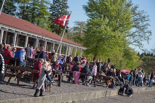 Lille oms�tning trods mange tilskuere til trav