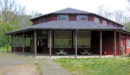 Gudstjeneste i Kyllingemoderen