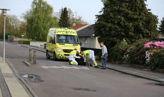 F�rdselsuheld i R�nne