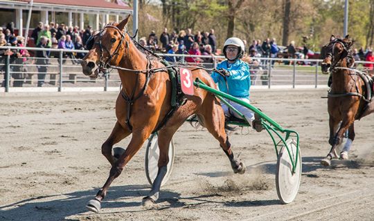 Lave gevinster p� travbanen