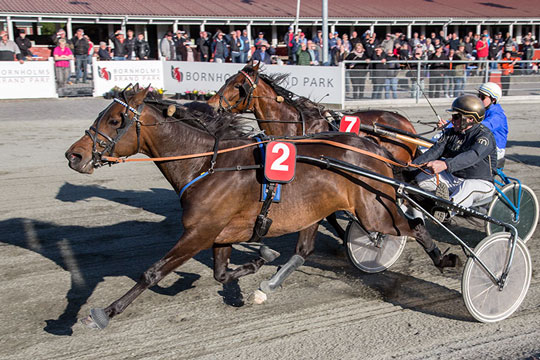 Galopper pr�gede tirsdagens travl�b