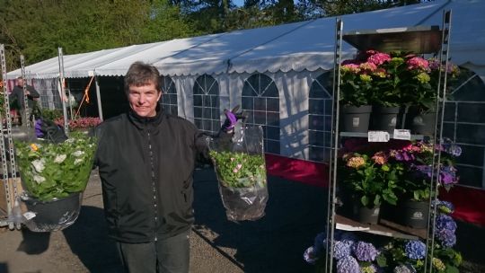 Tre dage med blomstermarked