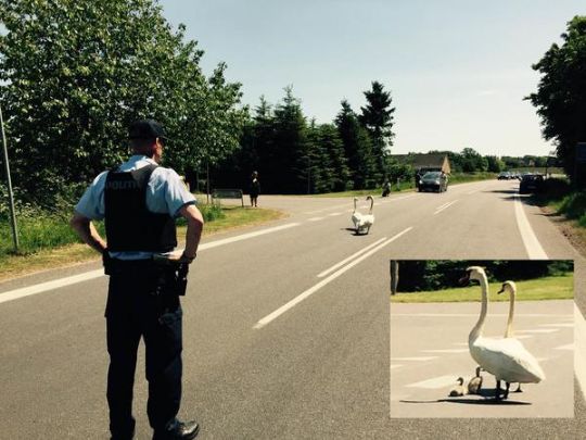 Morgenhilsen fra Bornholms Politi