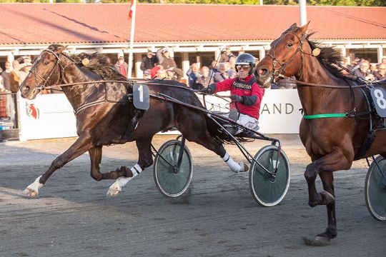 P�ne overraskelser p� travbanen