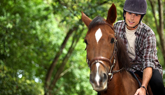 Kv�rke blandt rideheste p� Bornholm