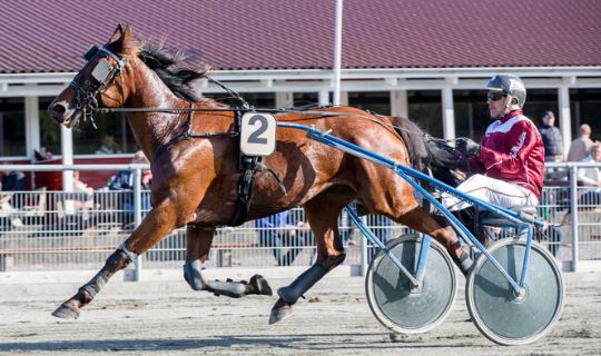 Bornholms Brand Park har f�dselsdag i dag