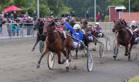 Vandt p� fire rigtige i V5-spillet