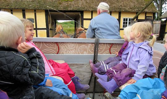 Naturb�rn p� hestevognstur