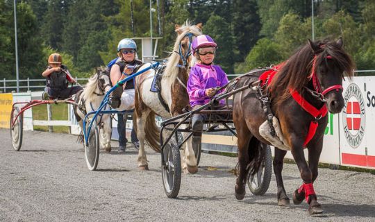 Ponyklub er igen i �r v�rt for travskole
