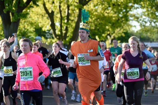 Fagenes Fest anno 2015