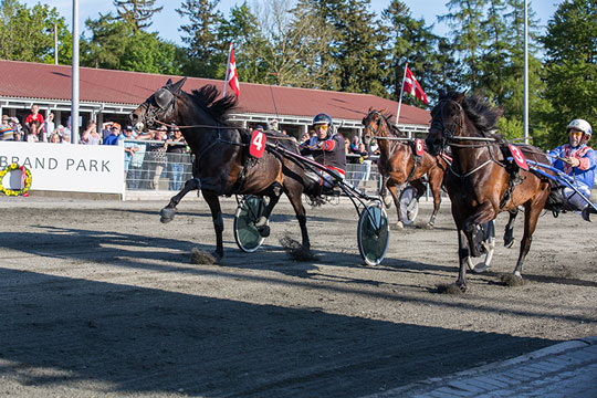 Lokale travpionerer mindet Grundlovsdag