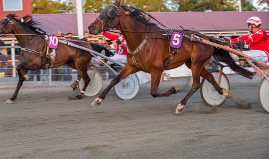 Flot banedebut for Strong Shadow