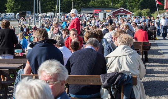 Turisterne spillede lystigt p� travbanens l�b