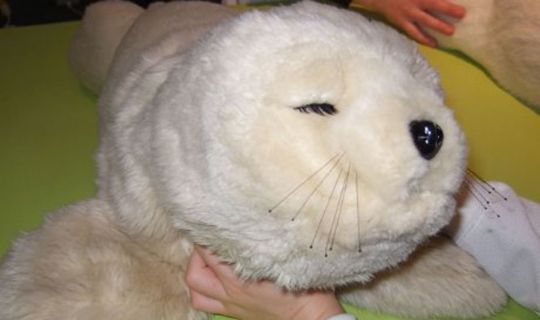 Handicappede f�r hj�lp af robots�l