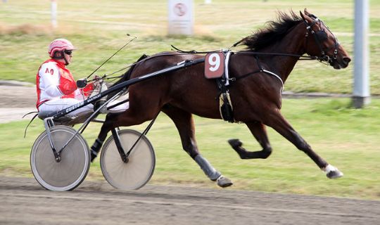 Bornholmeropdr�t hell�kker i pr�vel�b