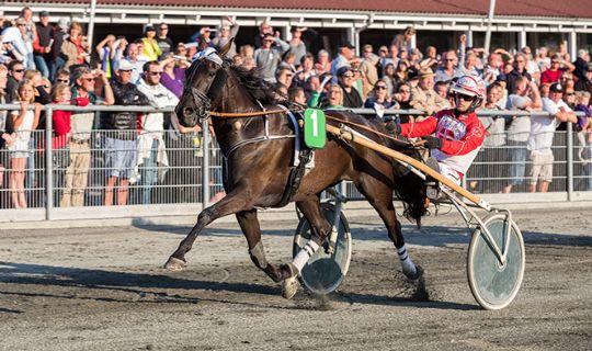 Ny tilskuerrekord p� travbanen