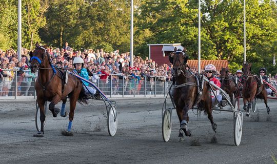 Mads Petersen vandt ogs� Niels Mikkelsens Mindel�b