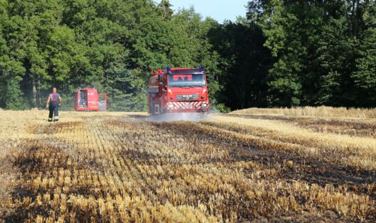 Markbrand i �stermarie