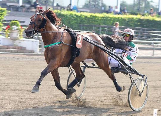 Mindst to Lunden-heste til BM-dagen