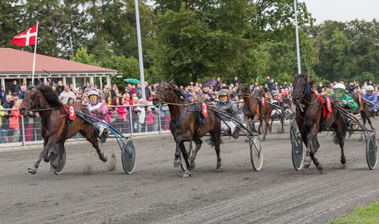 Oms�tningen marginalt fra 300.000 p� travbanen