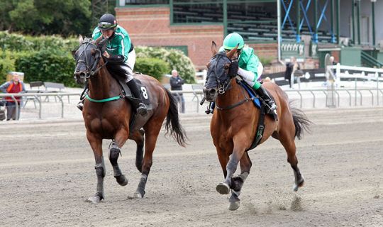 Tidligere galopjockey i f�ring i DM for monteryttere