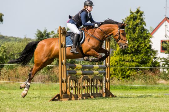 Mestre i springning fundet