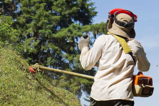 Venstre: Ledige skal v�re milj�pedeller