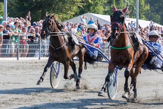 Favoritsejre og dramatik i V5-spillet